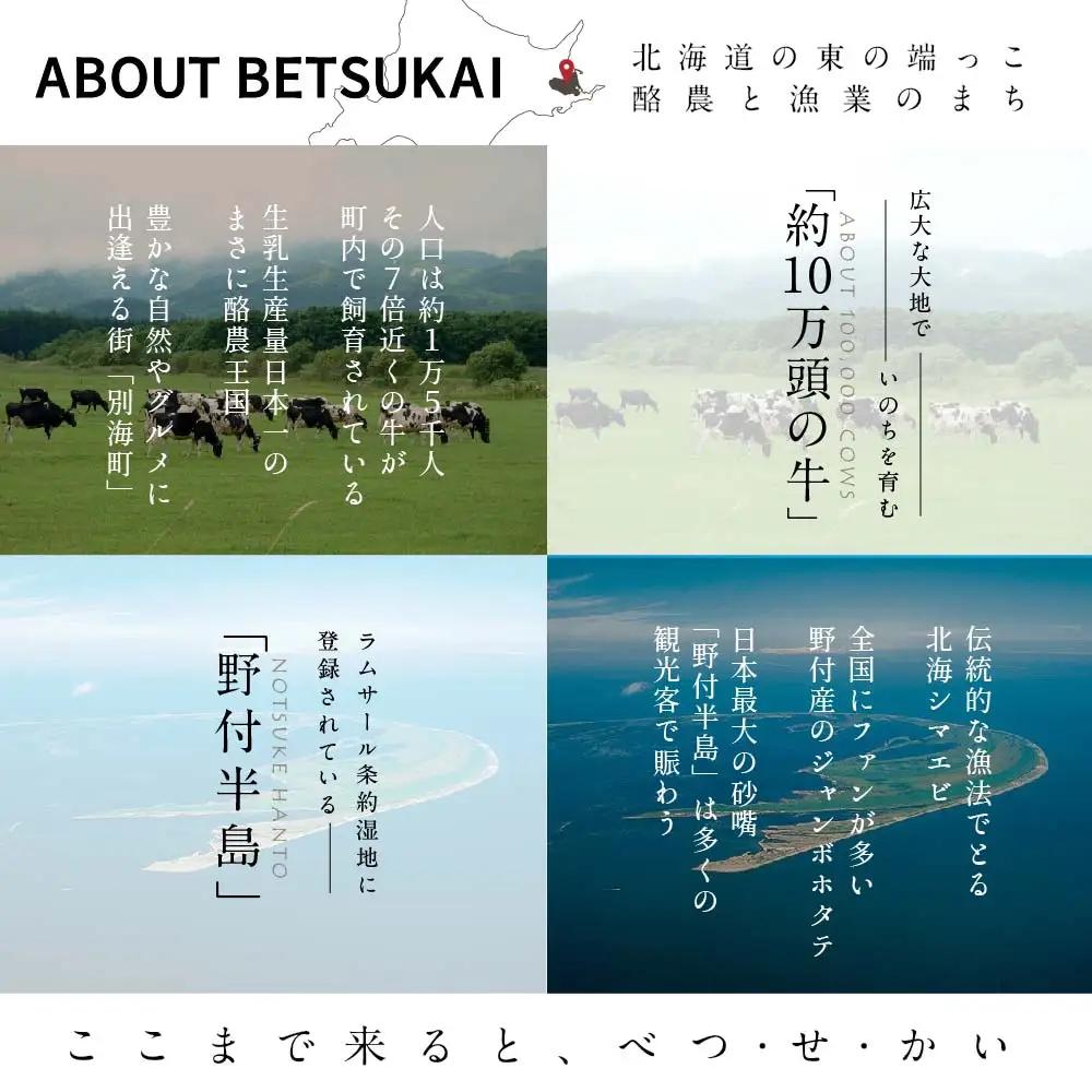 ひがし北海道 別海町の旅（羽田発着 ANA往復 航空券 + 別海町 宿泊1泊+レンタカー 北海道 旅行券） 旅行
