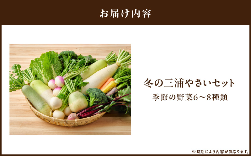 ボリューム満点！季節の野菜詰め合わせ（冬）　M001-004-02