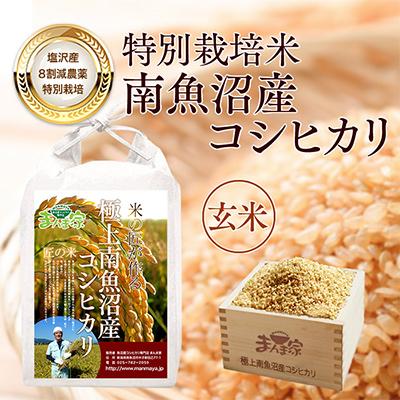 ふるさと納税 南魚沼市 【毎月定期便】特別栽培米「南魚沼産コシヒカリ」玄米10kg 全3回