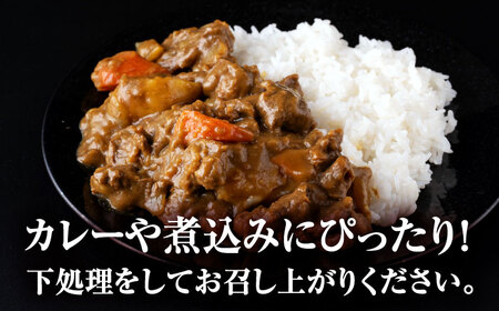 【全3回定期便】 馬スジ 計3kg 1回あたり1kg（500g×2パック） / 肉 お肉 馬肉 スジ 筋 煮込み 冷凍【五右衛門フーズ熊本店】[AYBV031]