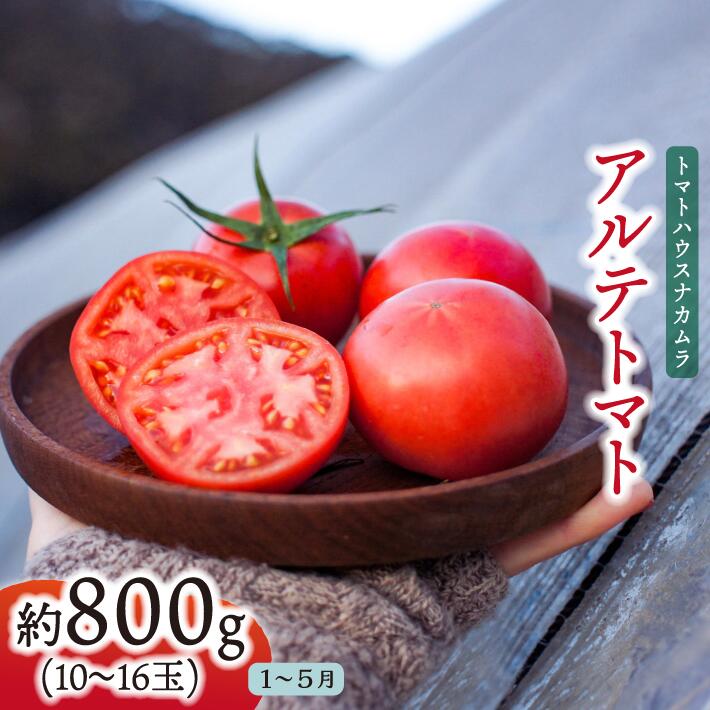 【ふるさと納税】＜アルテトマト お試し 約800g（10～16玉）×1箱＞フルーツトマト 高知県 佐川町 トマトハウスナカムラ 【常温】 栽培期間中化学農薬・化学肥料不使用　＜2026年1月～5月頃まで発送＞