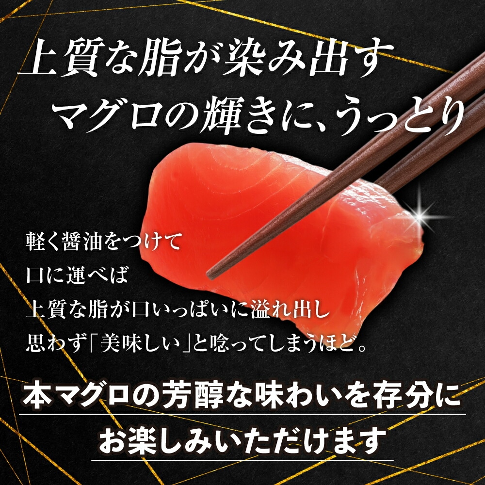 【定期便/隔月/計3回】本マグロ中トロ1kg（計3kg）【DG006-tk3】|いわき市 ふるさと納税 株式会社東日本貿易 鮪 本鮪 本まぐろ マグロ トロ とろ 刺し身 さしみ さかな 海鮮 寿司 