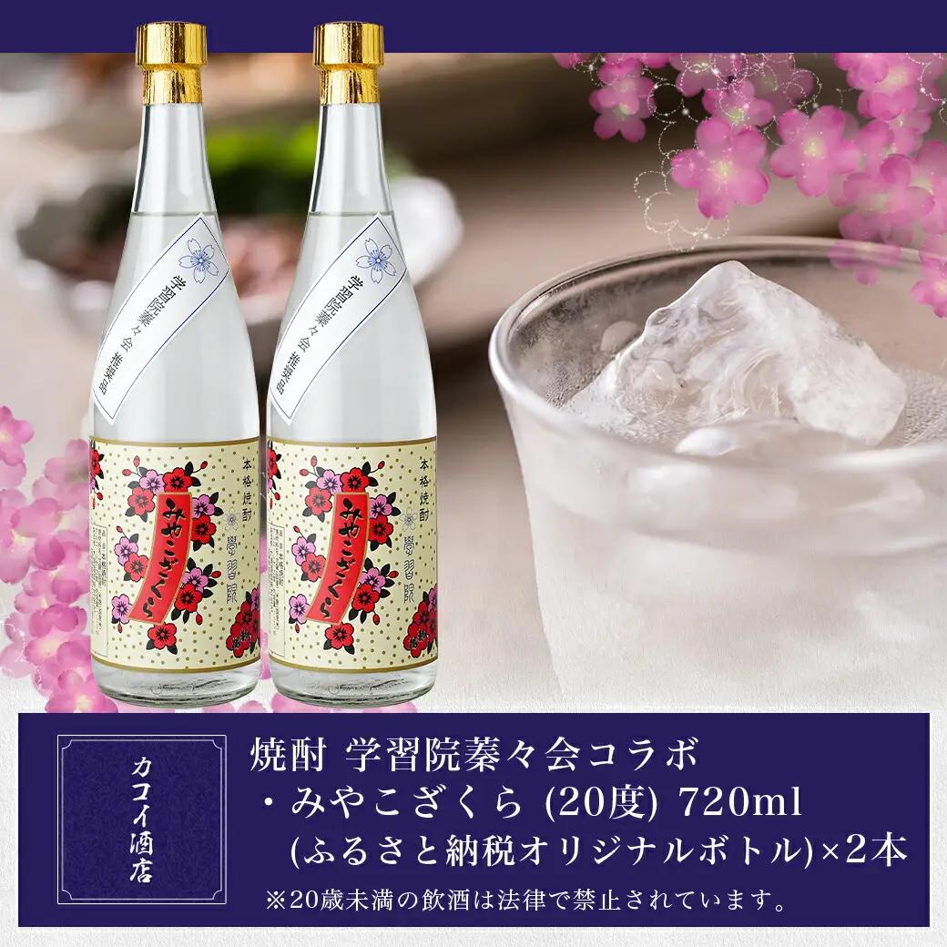 学習院蓁々会コラボ☆みやこざくら(20度)720ml×2本セット ≪みやこんじょ特急便≫〔18-1801〕_(都城市) みやこざくら 20度 720ml 大浦酒造 学習院 蓁々会 コラボ