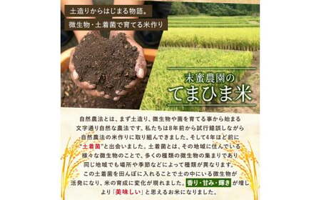 K-391-F 【6回定期便】令和7年産 てまひま米・玄米(品種:にこまる)(計30kg：5kg×6回)【末蜜農園】霧島市 お米 玄米 米 こめ コメ ご飯 ごはん 定期便 栽培期間中農薬不使用