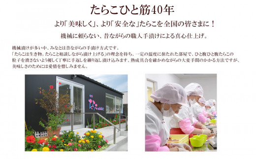 無添加・無着色 たらこと明太子 詰め合わせ 合計720g(80g×9個