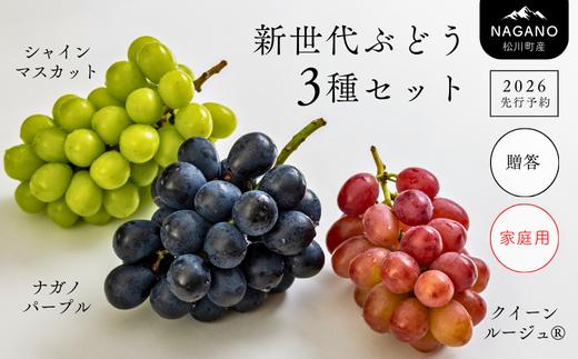 
            【先行予約】 ぶどう3種セット プレミアムスリー（ナガノパープル／シャインマスカット／クイーンルージュ®） 約1.5kg（3房） 贈答用 or 家庭用 ／ 2026年9月上旬～10月頃 配送予定 // ぶどう 葡萄  ブドウ 食べ比べ 長野県 南信州 詰め合わせ 種なし 皮ごと 贈答 ギフト 訳あり 訳あり品 パープル シャイン ルージュ TK05 TK32
          