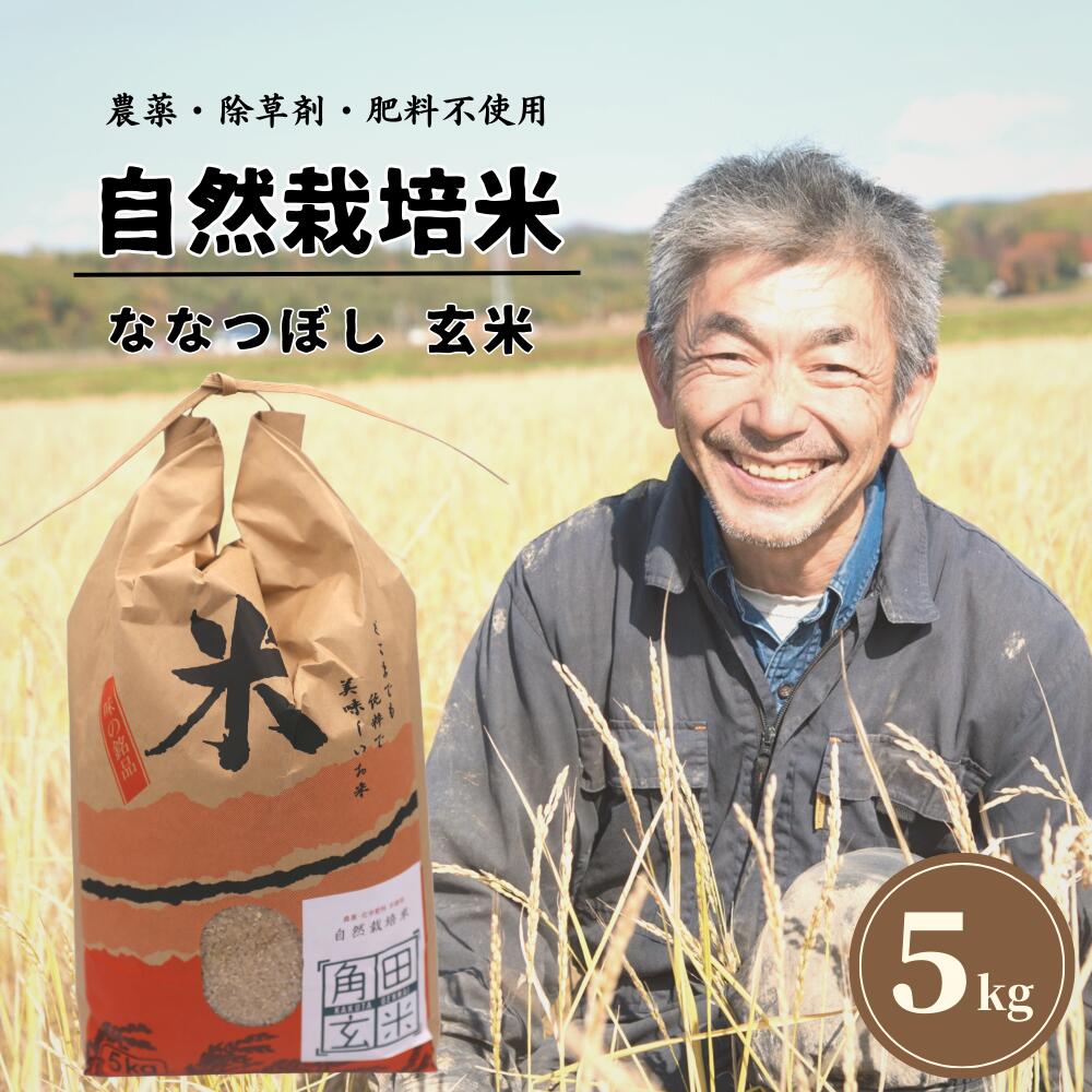 【ふるさと納税】【令和6年産】【玄米】自然栽培米「角田玄米」5kg《厚真町》【カクタファーム】 米 お米 玄米 ご飯 北海道[AXAR001]