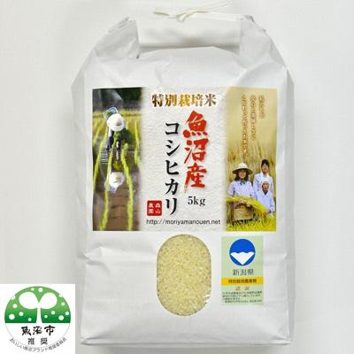 ふるさと納税 魚沼市 令和7年産森山農園特別栽培米魚沼産コシヒカリ(新潟県認証)5kg×2