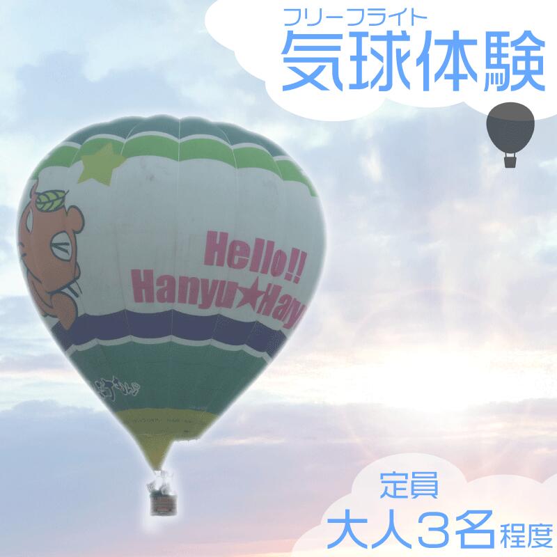 【ふるさと納税】 埼玉県 羽生市 熱気球 体験チケット 関東 バルーン 気球 絶景