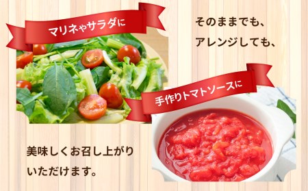 先行予約 オーガニックミニトマト 約1.2kg 有機JAS認証 ミニトマト