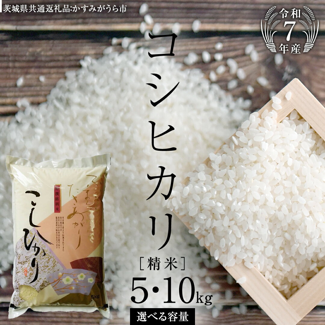 【ふるさと納税】 ≪ 令和7年度 新米 先行予約 ≫コシヒカリ 精米 5kg ～ 10kg ( 選べる 内容量 ) (茨城県共通返礼品 かすみがうら市) 米 ごはん もっちり 甘い コメ お米 白米