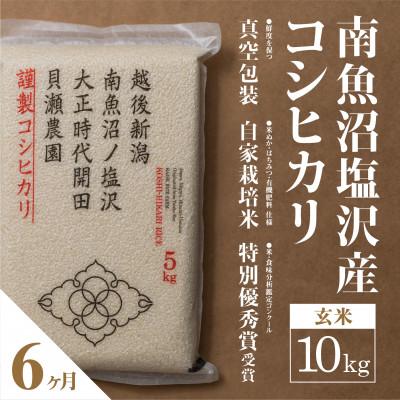 ふるさと納税 南魚沼市 【毎月定期便】南魚沼塩沢産コシヒカリ「貝瀬農園米」玄米10kg(5kg2袋)全6回