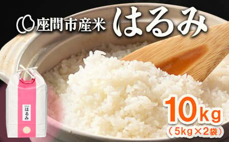 座間市産米 はるみ 10kg(5kg×2袋) ※離島への配送不可※2025年10月下旬頃より順次発送予定