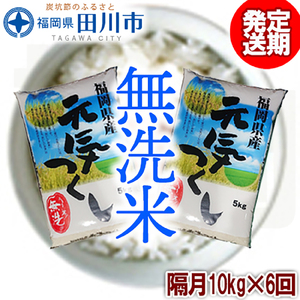 無洗米  【定期便/隔月】元気つくし無洗米 10kg×6回  無洗米 