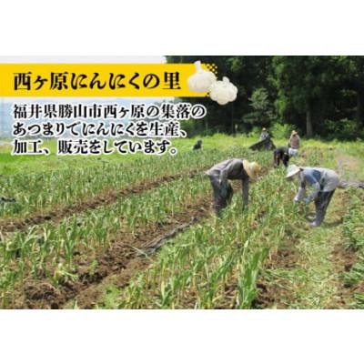 ふるさと納税 勝山市 【にんにく風味のオリーブオイル】オリーブDEがり 3本セット |  | 02