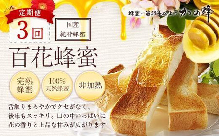 【全3回】 定期便 かの蜂 国産 百花蜂蜜 合計3kg（とんがり容器1kgを毎月1本お届け） 純粋はちみつ 024-T002