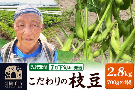 【先行受付】7月下旬より発送 こだわりの枝豆 2.8kg（700g×4袋）秋田県横手市産