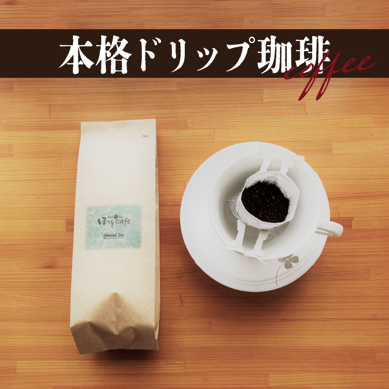 こだわりの低温焙煎！ ドリップバッグコーヒー(アイス10パック) お試し　H046-038
