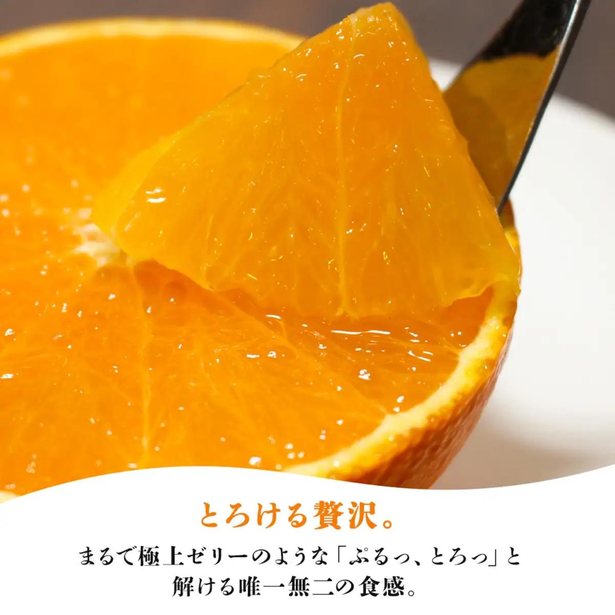 【先行受付】ゼリーのような食感！「媛一まどんな」訳あり約3.5kg入【28-52】YWTN034