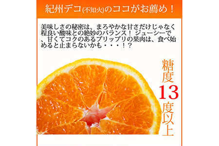 果肉プリプリ♪　完熟紀州デコ(不知火) 約3kg ※2024年2月下旬頃～3月下旬頃に順次発送予定