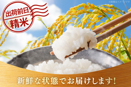 米 精米 夢つくし 5kg 福岡県産 米