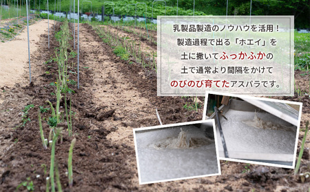 北海道芦別市産 横市ヨーグルト栽培アスパラガス3L500g+横市バター90g 横市フロマージュ舎