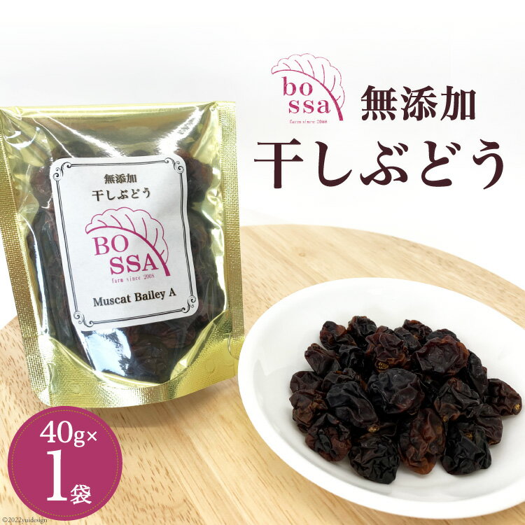 【ふるさと納税】無添加 干しぶどう ボッサの干しぶどう 40g×1袋 マスカットベーリーA（種あり）国産 レーズン ドライフルーツ 砂糖不使用 ブドウ 葡萄 加工食品 お菓子 スイーツ おやつ 　お届け：2026年10月下旬まで
