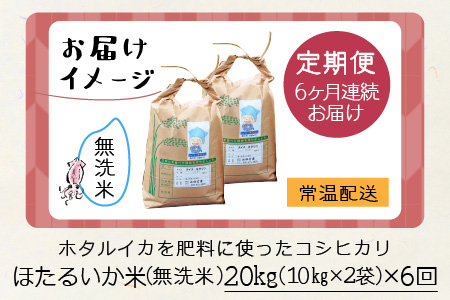ほたるいか米 コシヒカリ 無洗米20kg ×6回 計120kg【6ヶ月定期便】 米 定期便 [N-021004]