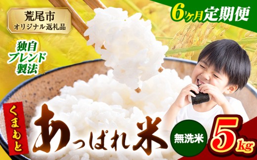 【6ヶ月定期便】熊本県産 くまもとあっぱれ米 ブレンド米 5kg 熊本県産 ふるさと納税 無洗米 精米 米 こめ ふるさとのうぜい コメ お米 おこめ《1月から出荷開始》