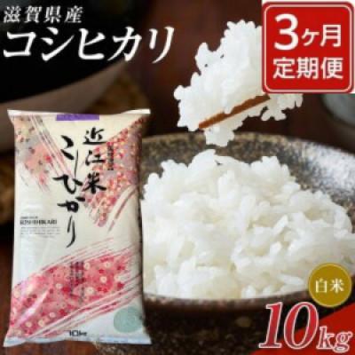 ふるさと納税 甲賀市 【毎月定期便】近江米コシヒカリ白米10kg全3回