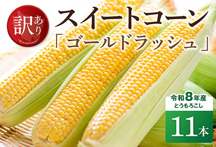 【訳あり】令和8年産とうもろこしスイートコーン「ゴールドラッシュ」11本 スイートコーン