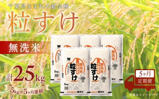 ＜5か月定期便＞ 千葉県産「粒すけ」無洗米 5kg×5か月連続 計25kg