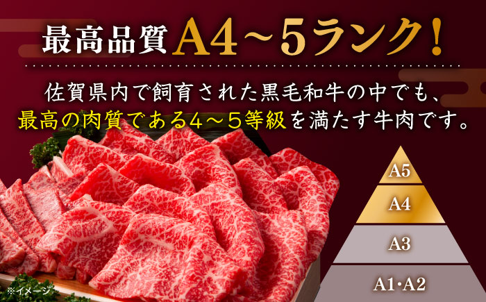 佐賀牛 赤身 ブロック 400g (モモ・ウデいずれか)【川崎畜産】 [IAX031]