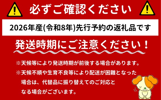 ★先行予約★【令和8年産】食の都庄内　庄内産さくらんぼ「紅秀峰」400gバラ詰め　※令和8年6月下旬～7月上旬頃発送予定 [HS4-256(庄内旬青果)] 「紅秀峰」400gバラ詰め
