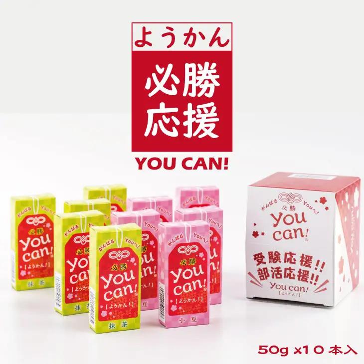 you can! ようかん10本入 A070-041