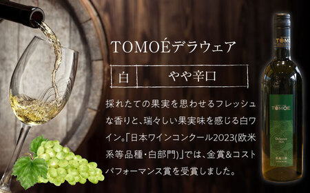 おすすめ 白ワイン 2本セット 霧里ワイン やや甘口 TOMOE デラウェア やや辛口 ワイン 受賞 飲み比べ ワインセット ギフト 三次市 / 広島三次ワイナリー[APAZ010]