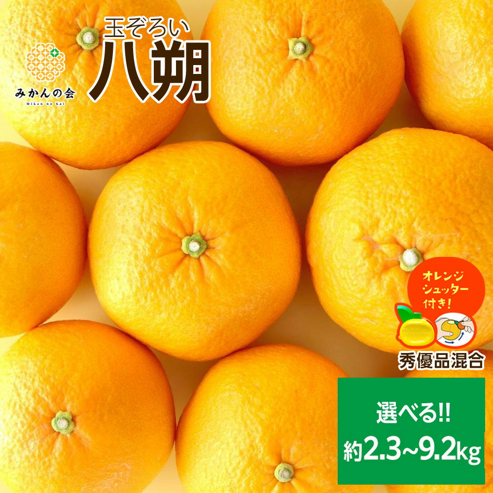 【ふるさと納税】【選べる】八朔 (はっさく) 玉ぞろい 箱込 2.5kg～10kg(内容量約 2.3kg～9.2kg) 2L L Mサイズのいずれか 秀品 優品 混合和歌山県産 産地直送【おまけ付き】【みかんの会】 | みかん 八朔 和歌山 大玉 秀 優 和歌山県 有田川町 ふるさと納税 返礼品