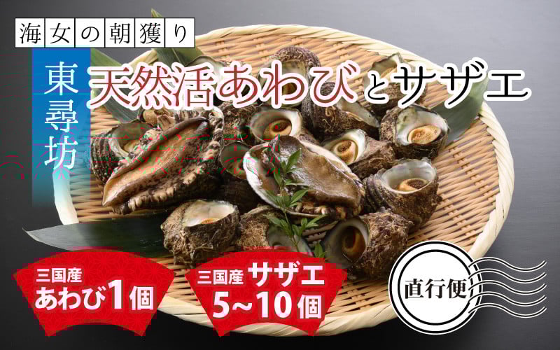
            【先行予約】 海女の朝獲り直行便 東尋坊天然活あわびとサザエ 【2025年7月中旬以降順次発送予定】 [D-6001]
          