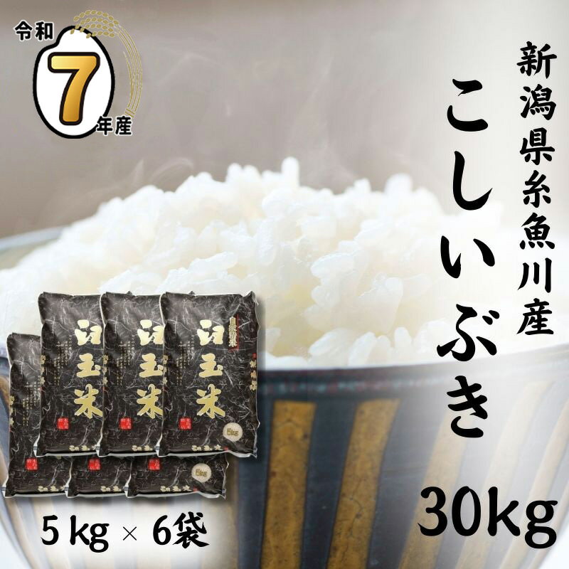 【ふるさと納税】臼玉米こしいぶき 30kg (5kg×6袋) 《令和7年産》【令和8年1月以降出荷予定】新潟県 糸魚川産 プロが認めたうまい米 新潟米 農家自慢 コシヒカリの甘みを兼ね備えた早生品種 お手頃価格 精米 コシイブキ 白米30kg おすすめ 人気 木島米穀店