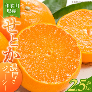 【2027年先行予約】とろける食感！ジューシー柑橘 せとか 2.5kg_G7349