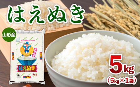 令和7年産 山形産 はえぬき 5kg FY25-350