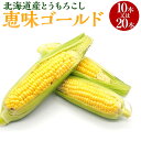 【ふるさと納税】北海道産 とうもろこし 恵味ゴールド 2Lサイズ 10本 or 20本 トウモロコシ コーン 野菜 夏野菜 お取り寄せ 北海道 新得町 送料無料【2024年8月中旬より順次発送】【AH-1501】