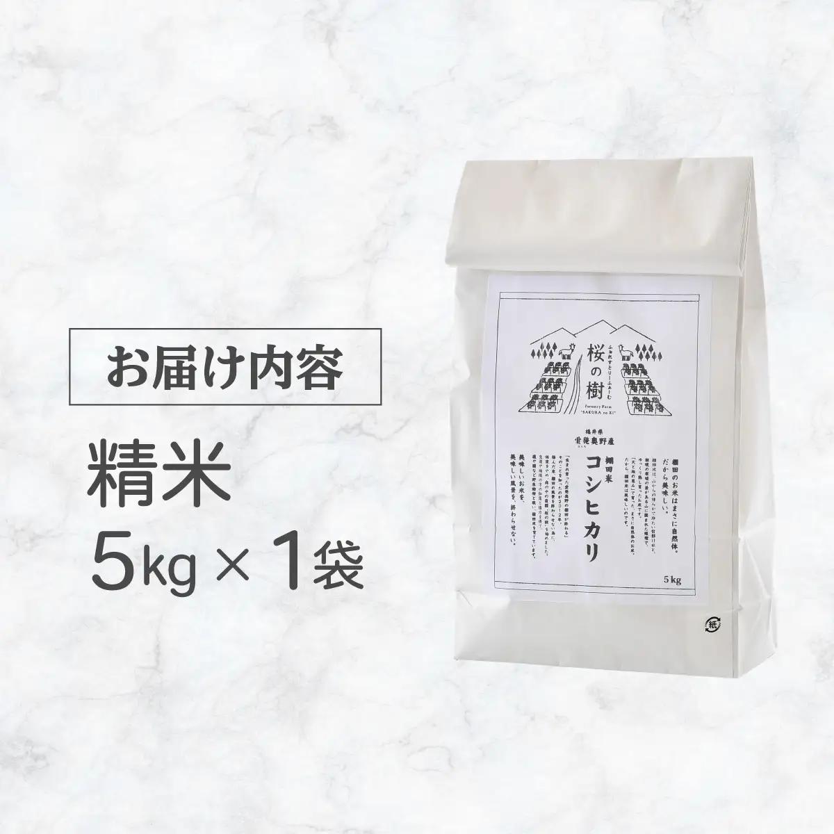 令和7年産 福井県産 『コシヒカリ』5kg  [003-a001-A]