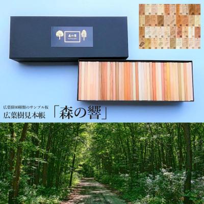 ふるさと納税 下呂市 広葉樹見本帳「森の響」(広葉樹40種類のサンプル板 60×110mm(板)40枚)【50-1】