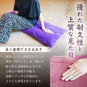 おうちでゆるっとメトロ（120×45cm・東西線：えんじ色）【kt031-010-2】