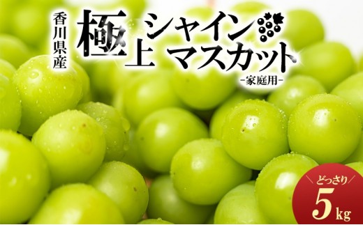 
                  [№5911-0093]極上シャインマスカット　どっさり約5kg
                