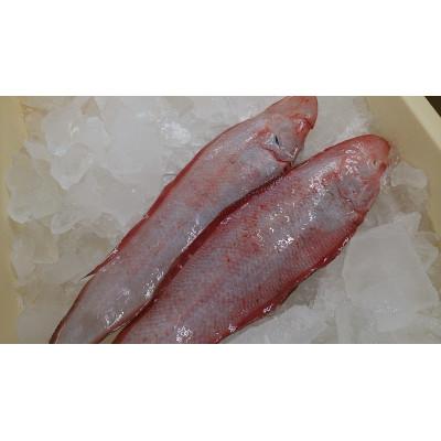 ふるさと納税 宇部市 宇部産　赤舌平目　約1.0kg(200g×5パック) |  | 01