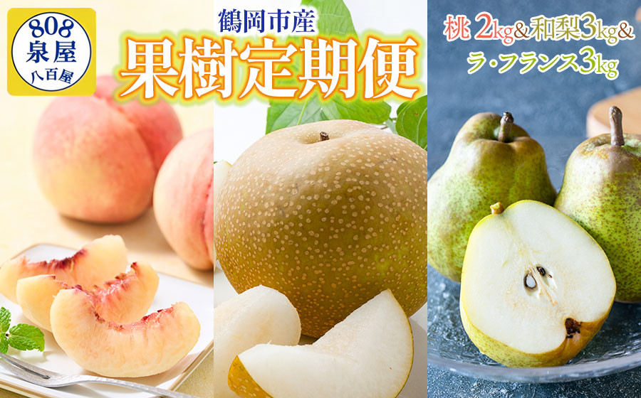 
            【令和7年産先行予約】鶴岡産果樹定期便　桃2kg ＆ 和梨3kg ＆ ラフランス3kg
          