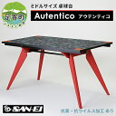 【ふるさと納税】ミドルサイズ 卓球台 「 Autentico - アウテンティコ - 」 【抗菌・抗ウイルス加工あり】　【足寄町】　お届け：2023年12月～2024年10月末迄