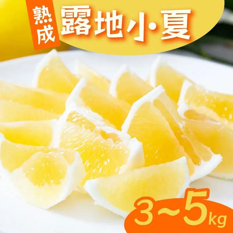露地小夏 3kg 熟成 小夏